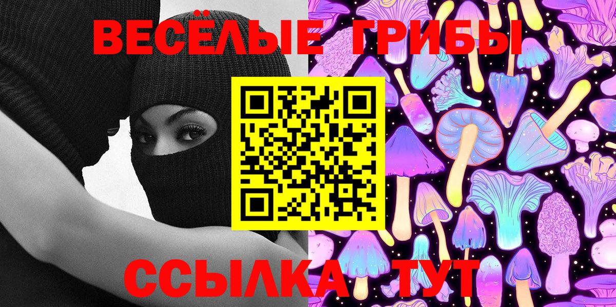 Псилоцибиновые грибы Psilocybe Улан-Удэ